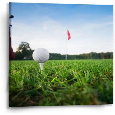 Sablio Obraz Golf - 50x50 cm