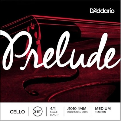 D'Addario J1010 4/4M