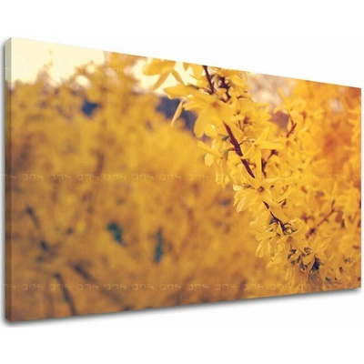 Obraz na stenu KVETY - 30x40 cm