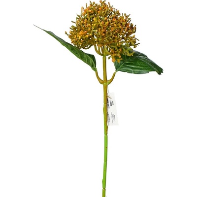 KS HORTENZIA ORANŽOVÁ 39CM
