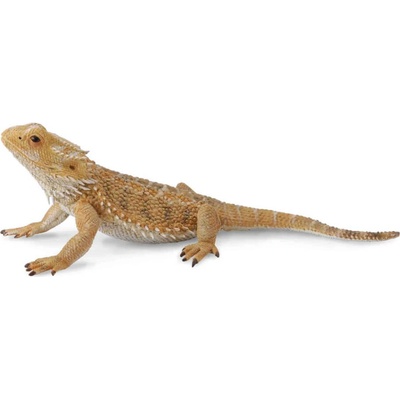 Collecta Agama fúzatá 13 x 4 krémová