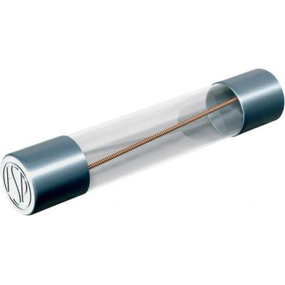 Püschel Feinsicherungen FSUF0,125B FSUF0,125B trubičková pojistka (Ø x d) 6.3 mm x 32 mm 0.125 A 250 V F rychlá Množství