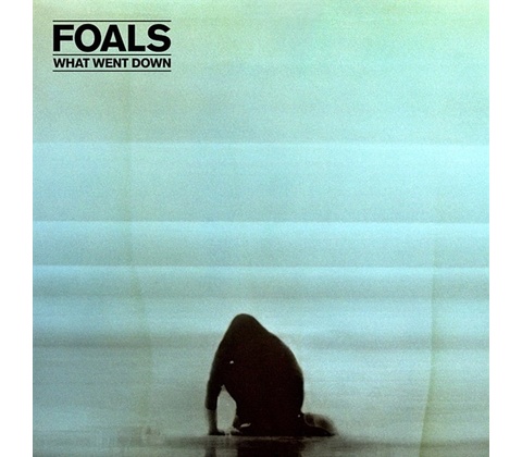 FOALS: WHAT WENT DOWN CD