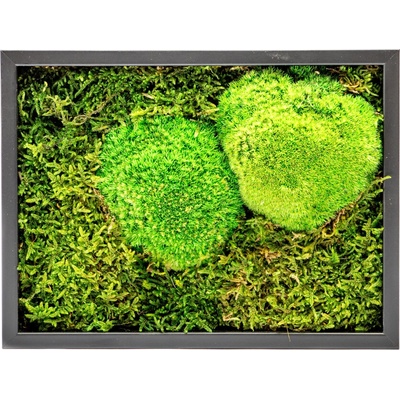 Gardners Mechový obraz 13x18 cm kombinovaný mech kopečkový s plochým, černá