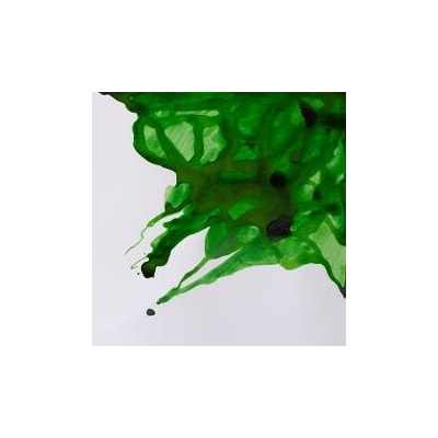 Winsor & Newton drawing INK Apple green