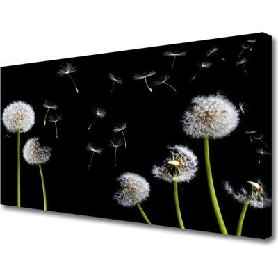 Obraz na plátně Pampeliška 100x50 cm