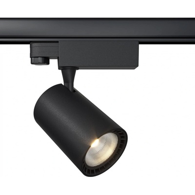 MAYTONI TR029-3-10W3K-B