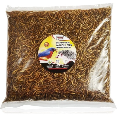 Apetit Moučný červ 500 g