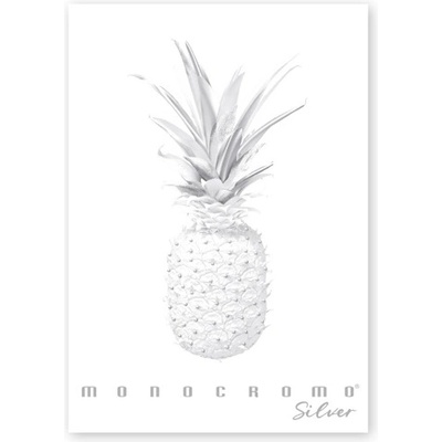Pigna Monocromo Silver A4, 38 листа, с телбод, с подвързия P1111-1290 (P1111-1290)