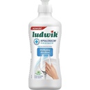 Ludwik Hypoalergénny prostriedok na umývanie riadu 450 g