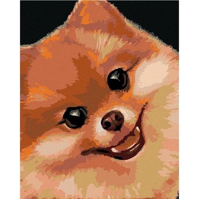 zuty Malování Podle Čísel Pomeranian Myroslava Voloschuk 80 x 100 Cm Plátno
