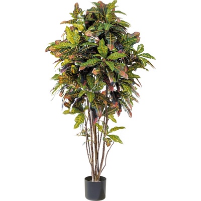 Umelý strom Kroton s prírodným kmeňom, 150 cm