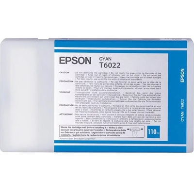 Epson T6022
