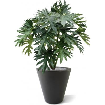 MF Umělá rostlina Philodendron Selloum (100cm)
