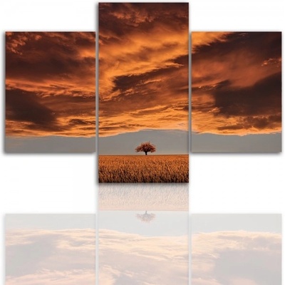 Divio Třídílný obraz na plátně strom, vzor 12212 Velikost: 120x180 cm