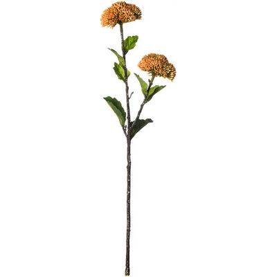ASA Selection Декоративно растение ASA Selection, 44 см (66895444)