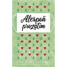 Alespoň prozatím - Salingerová Amélie