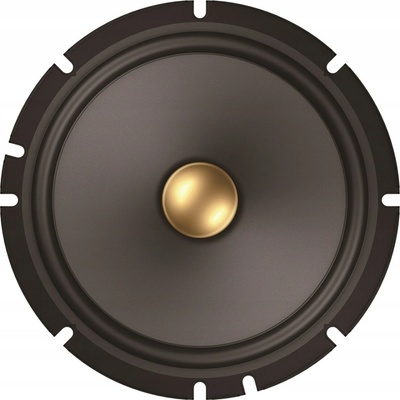 Pioneer TS-A1601C