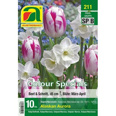 AUSTROSAAT Zmes tulipánov a narcisov "Alaskan Aurora" - 10 cibúľ