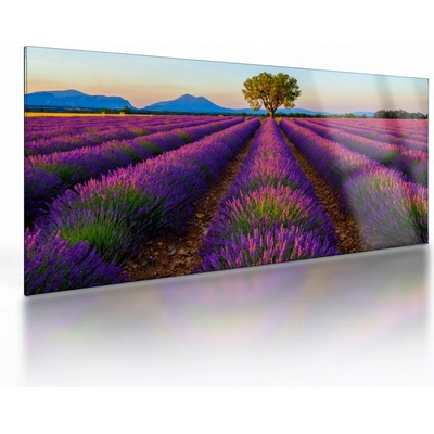 Sklenený obraz - Levanduľové pole, jednodielne 100x50 cm na skle