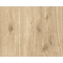 Tapety A.S. Création 300434 vliesová tapeta na zeď Best of Wood´n Stone, rozmery 0,53 x 10,05 m