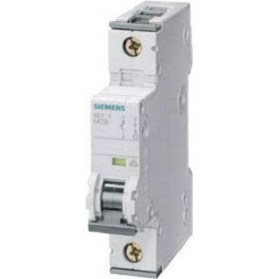 Siemens 5SY61257