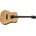 Tanglewood TS5