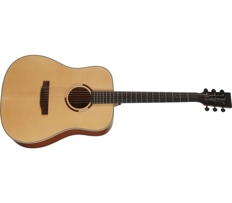 Tanglewood TS5