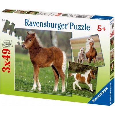 Ravensburger Kone 3 x 49 dielov