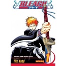 Bleach Kubo, Tite