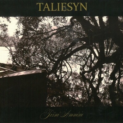 TALIESYN: JIZNI AMNESIE CD