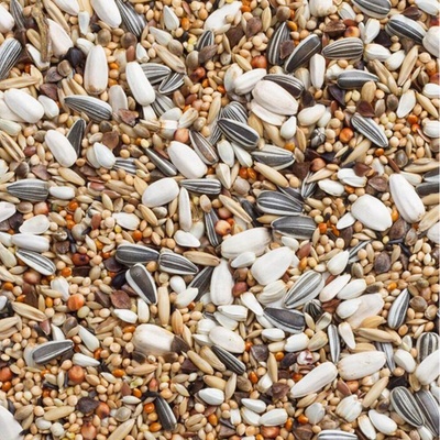 Deli Nature 69 Large Parakeets With Sunflower Seed 4 kg