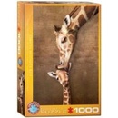 Puzzle EuroGraphics Polibek žirafy 1000 dílků