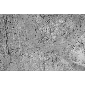 DIMEX ART s. r. o Флизелинов фототапет бетонен под 375 x 250 см