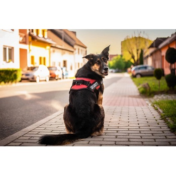 Vsepropejska Security reflexní postroj pro psa