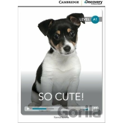 So Cute! Beginning Book with Online Access - Kenna Bourke