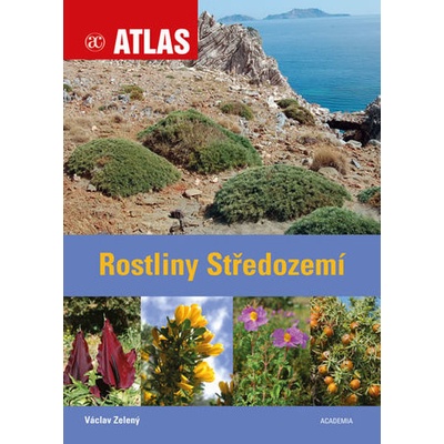 Rostliny Středozemí