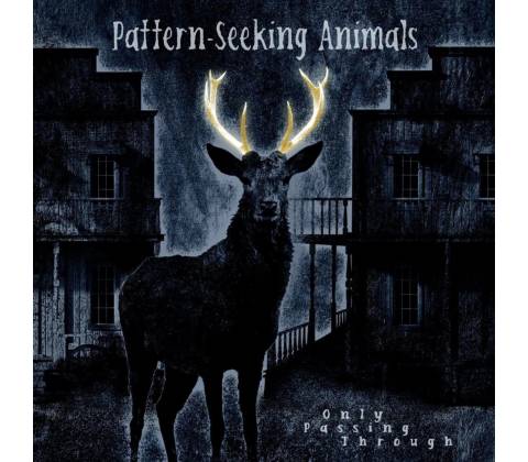 PATTERN-SEEKING ANIMALS - Only Passing Through CD