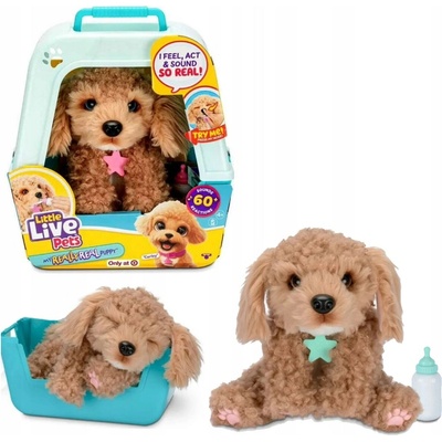 Little Live Pets Můj Skutečný Pejsek Interaktivní Pes Cavoodle Karamelový 26612