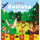 Zvířata v lese