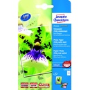 Avery C2552-50
