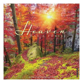 Willow Creek Press Calendars Heaven Has a Forest 2026 12 X 12 Wall Calendar | Willow Creek Press
