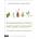 Contemporary French Aromatherapy