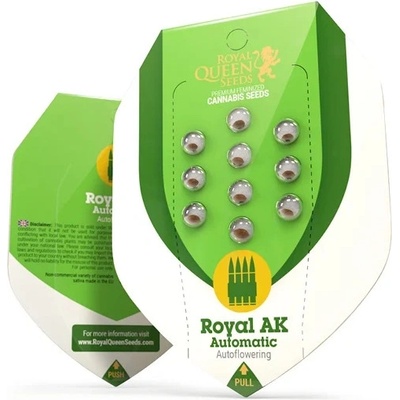 Royal Queen Seeds Royal AK Automatic semena neobsahují THC 1 ks – Zboží Mobilmania