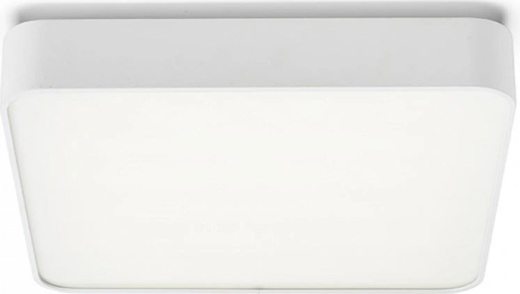 Rendl 12120