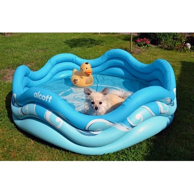 Alcott Nafukovací bazén pre psov modrý 121,9 x 40,6 x 121,9 cm