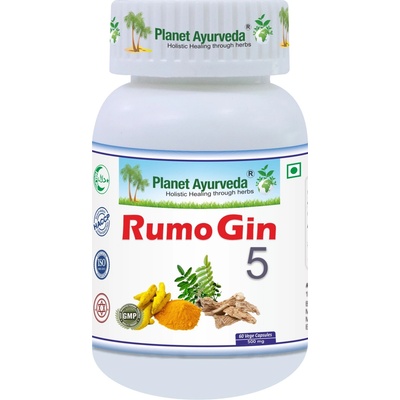Planet Ayurveda RumoGin 5 60 kapsúl