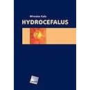 Hydrocefalus
