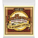 Ernie Ball 2010