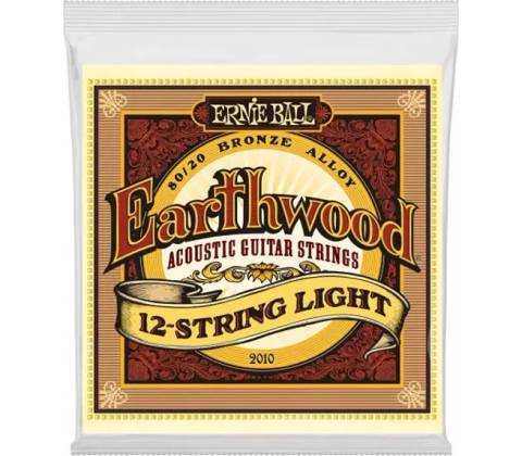 Ernie Ball 2010